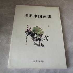 王君中国画集