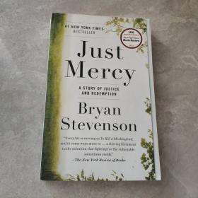 Just Mercy  A Story of Justice and Redemption