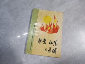 抗衰壮阳与进补