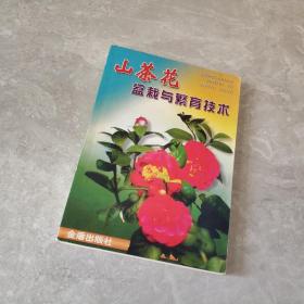 山茶花盆栽与繁育技术