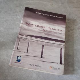 Organizational Behaviour: An Introductory Text