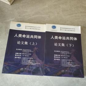 2018新兴经济体论坛 人类命运共同体 论文集 上下