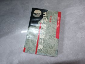 飞星紫微斗数：中国神秘文化通鉴