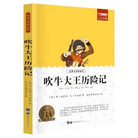 大卫科波菲尔 世界经典文学名著长篇小说外国文学 9-12-15岁青少版小学生初中生课外阅读书籍文学 查尔斯狄更斯著