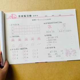 正版全新幼小衔接语文识字试卷天天练 学前班考试语言卷子拼音写汉字 词语成语句子阅读幼小衔接语言识字测试卷幼儿园小学入学前准备语文题