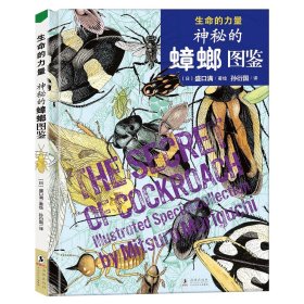 正版全新【北斗】神秘的蟑螂图鉴 生命的力量神秘的蟑螂图鉴神奇的种子图鉴 自然科学绘本昆虫百科知识启蒙感悟生命力