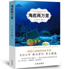 正版全新海底两万里 百种书籍捡漏折扣书白菜价世界名著理想国孙子兵法国学经典朝花夕拾西游记水浒传红楼梦四大名著书籍