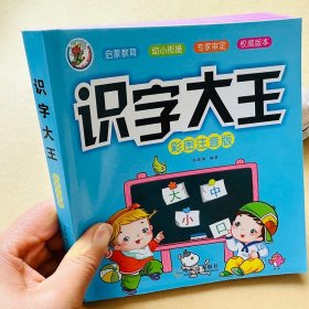 正版全新儿童识字书幼儿认字识字大王3-5-6-8岁幼儿园儿童大班学前班宝宝汉字早教识千字幼小衔接一年级看图识字书象形识字卡片神器认字书