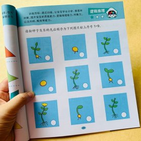 正版全新幼儿园大班思维游戏教材儿童阶梯数学启蒙2-3-5-6岁幼儿园数学教材三四岁儿童奥数思维专注力训练智力潜能开发益智游戏图画书绘本