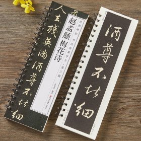 正版全新赵孟頫梅花诗字卡 赵孟頫梅花诗行书毛笔书法字帖原大加放大赵孟俯经典碑帖临摹字卡全文初学者成人入门练习近距离临帖卡诗帖