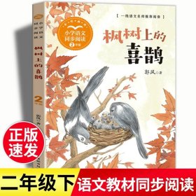 正版全新【二年级下】枫树上的喜鹊 硬壳精装这就是二十四节气绘本故事4春夏秋天冬我的四季变化大自然科普类小学生一二三年级课外书24节气习俗有哪些雨水惊蛰