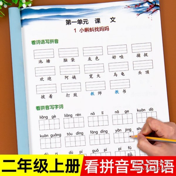 2020小学语文专项组合训练二年级上册部编版/看拼音写字词生字注音近义词反义词多音字同音字形近字木叉教育