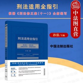 刑法适用全指引：罪名要义、关联法规、立案追诉标准、定罪量刑标准