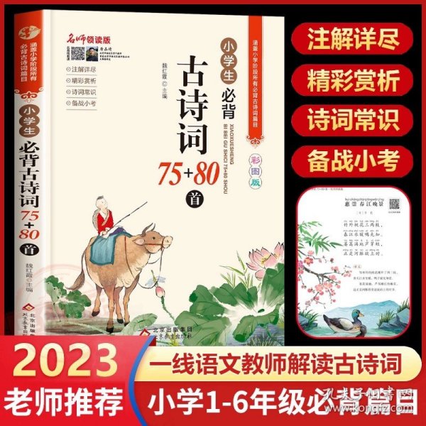 小学文学常识背诵 彩图版 小学语文基础知识积累大全优美句子手册 中国古代现代文学常识古诗词大集结知识点集锦注释