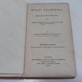 稀缺，WILD FLOWERS，约1860年出版。