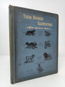稀缺， 《Three Hundred Illustrations with Scripture Texts》，约1886出版。
