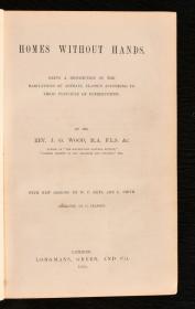 稀缺，早期野生动物的自然历史，约1869年出版