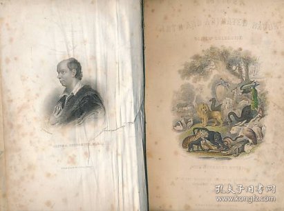 稀缺版， 《 地球和动物的自然史 》大量彩色版画与黑白插图，  约1855年出版.