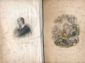 稀缺版， 《 地球和动物的自然史 》大量彩色版画与黑白插图，  约1855年出版.