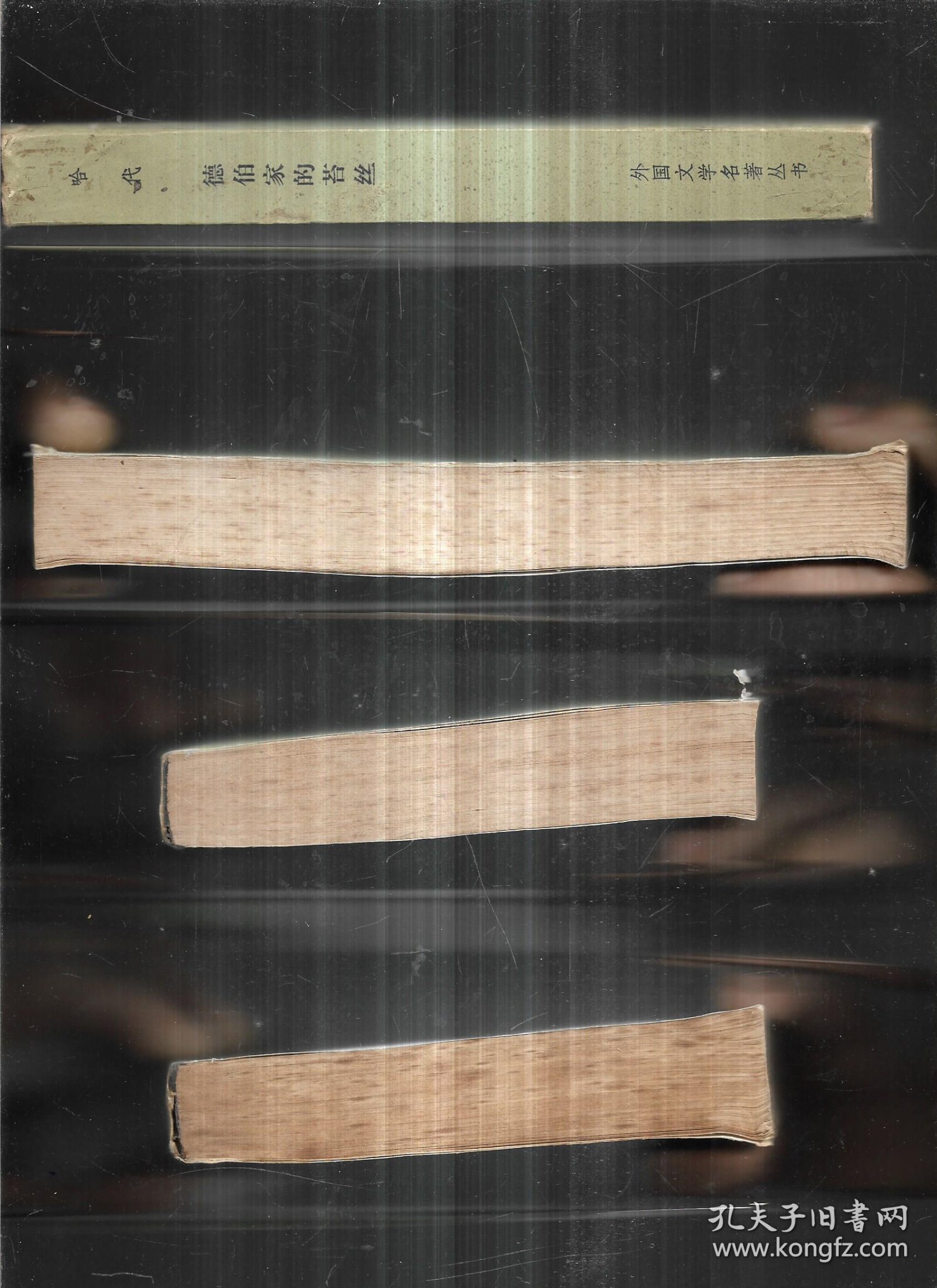 德伯家的苔丝 网格