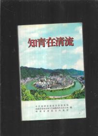 知青在清流