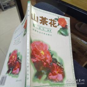 山茶花