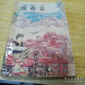 报春花 九年义务教育六年制小学语文第八册自读课本