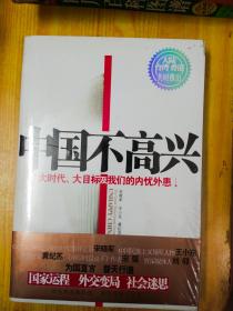 中国不高兴：大时代大目标及我们的内忧外患