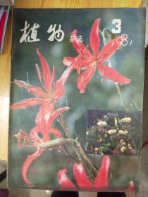 植物杂志 1981 3