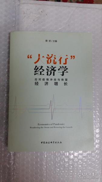 “大流行”经济学——应对疫情冲击与恢复经济增长