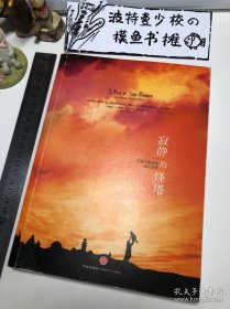 【品相佳】寂静的烽塔：一个阿富汗家族的战火流离