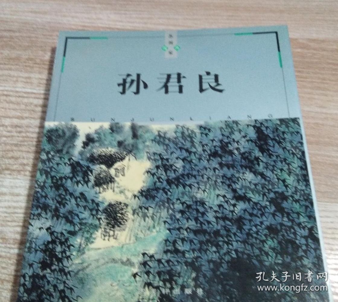 孙君良画册、图录、作品集