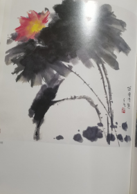 杨在茂画册、图录、作品集