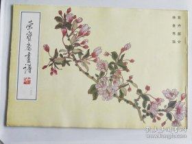 林金秀绘花卉(画谱)画册、图录、作品集