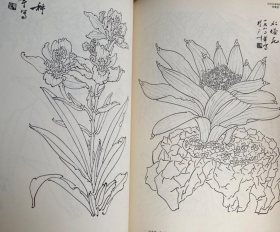 白描花卉画册、图录、作品集