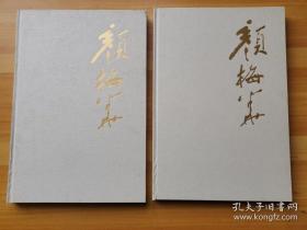 颜梅华(全2册)画册、图录、作品集