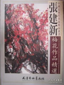 张建新梅花画册、图录、作品集