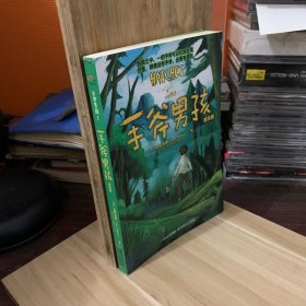 手斧男孩，如图1，书脊角有小瑕疵