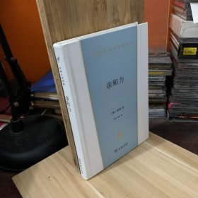 亲和力(汉译世界文学3)