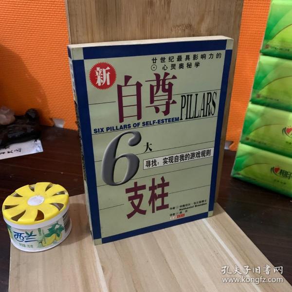 自尊的6大支柱：寻找：实现自我的游戏规则