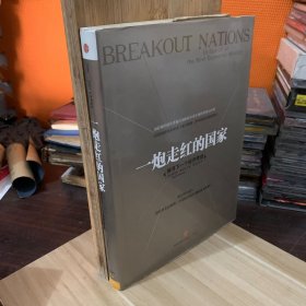 一炮走红的国家：探寻下一个经济奇迹