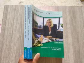 2011 CFA Level 1 Book 2（看图三本合售）