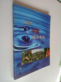 展望中国城市水业