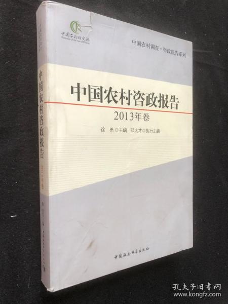 中国农村调查·咨政报告系列：中国农村咨政报告（2013年卷）