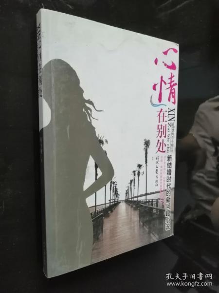 新结婚时代的新问题小说：心情在别处