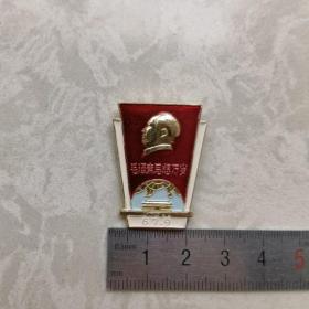 红色纪念收藏**时期毛主席像章胸针徽章包老物件盲文章