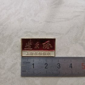 红色纪念收藏毛主席像章胸针徽章老物件派性章上海市杨教联反派2