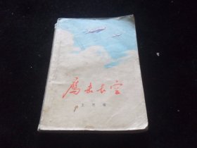 鹰击长空