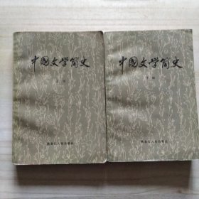 中国文学简史（上下）