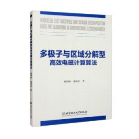 多极子与区域分解型高效电磁计算算法